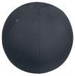 llabda nehezkkel 65cm Leitz Ergo Active sttszrke