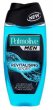 Tusfrd 250ml Palmolive Revitalizing Sport frfi