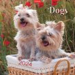 Naptr fali Toptimer Dogs (2023)