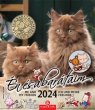 Naptr fali Csg n s a bartaim (2023)