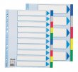 Regiszter m�anyag A4 Maxi 10 r�szes Esselte #3