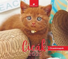 Naptr asztali ll Dayliner Cick (2025 vi) #1