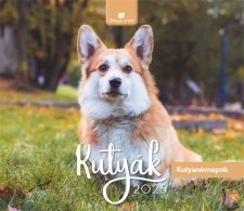 Naptr asztali ll Dayliner Kutyk (2025 vi) #1