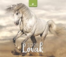 Naptr asztali ll Dayliner Lovak (2025 vi) #1