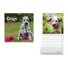 Naptr fali Toptimer Dogs (2025 vi) #1