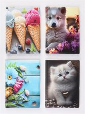 Igazolv�nytart� �ll� 10 bet�t lappal mint�s PVC B�v�tett szem�lyi l�ny #1