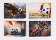 Di�k- �s igazolv�nytart� fekv� 6 bet�t lappal mint�s PVC T�bblapos fi� #1