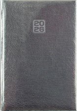 Napt�r tervez� B6 heti Dayliner Mirror ez�st (2026) #1