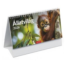 Naptr asztali ll Toptimer llatvilg (2026) #1