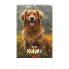 Napt�r fali Toptimer Kuty�k (2026) #1