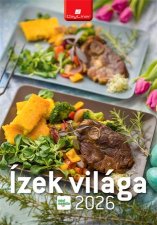 Napt�r fali Dayliner �zek vil�ga - Mindmegette (2026) #1