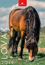 Napt�r fali Dayliner Lovak (2026) #1