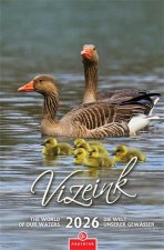 Naptr fali CSG Vizeink (2026) #1