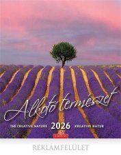 Napt�r fali CSG Alkot� term�szet (2026) #1