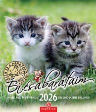 Napt�r fali CSG �n �s a bar�taim (2026) #1