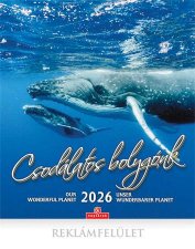 Napt�r fali CSG Csod�latos bolyg�nk (2026) #1
