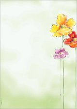Elnyomott papr A4 90g Sigel Spring Flowers #1
